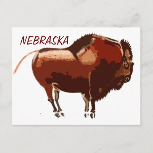 cartão postal de Bison pintado em Nebraska