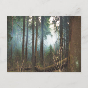 cartão postal de bosques fumegantes