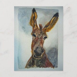 Cartão postal de burro