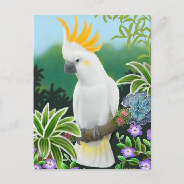 Cartão postal de Cacatua Citrino (Frente)