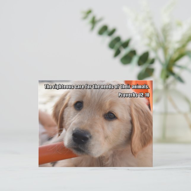 Cartão Postal de Cachorrinho Cristão (Em pé/Frente)