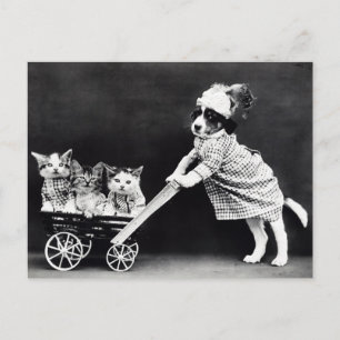Cartão postal de cachorrinho engraçado e gatinhos