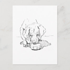 Cartão Postal de Cachorrinho Labrador para Amantes