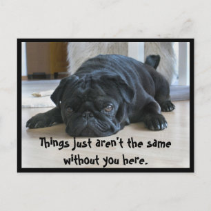 Cartão postal de cachorrinho pug preto fofo e preg