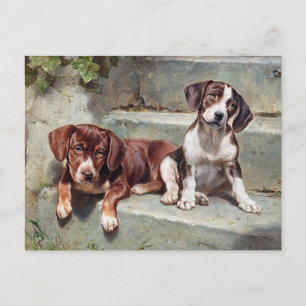 Cartão postal de cachorrinhos antigos