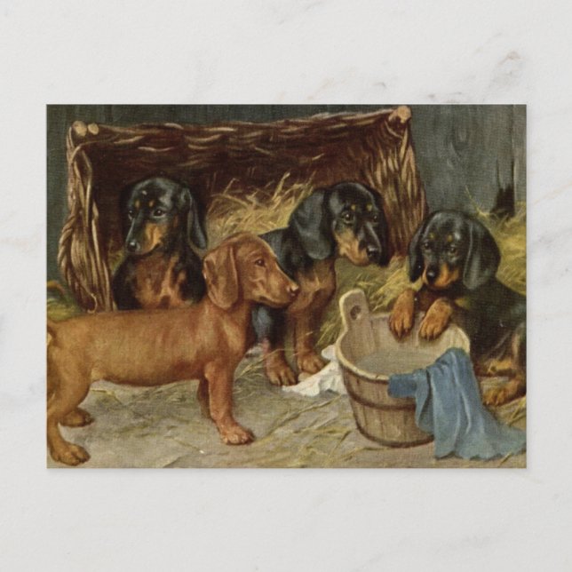 Cartão postal de cachorrinhos antigos (Frente)