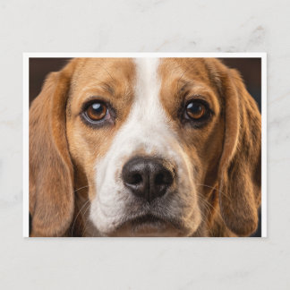 cartão postal de cachorro Beagle adorável