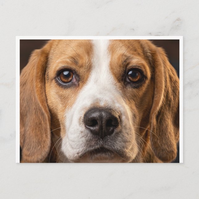 cartão postal de cachorro Beagle adorável (Frente)