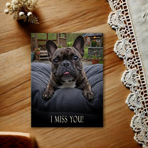 Cartão Postal de Cachorro Bulldog Francês Eu Sinto