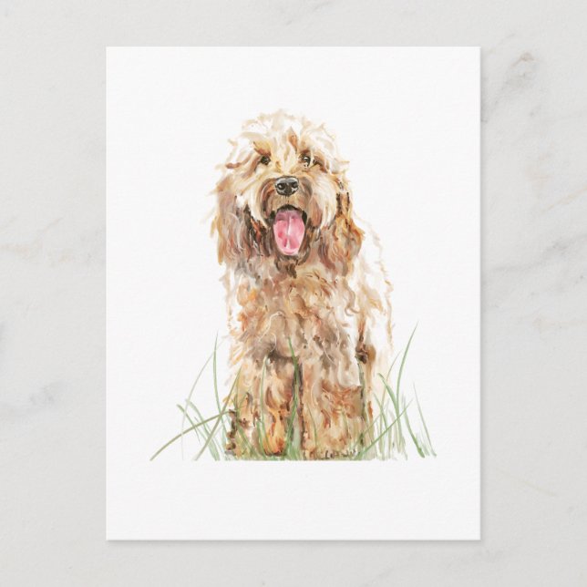 Cartão postal de cachorro Cockapoo – Arte de estim (Frente)