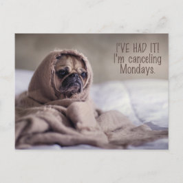 Cartão postal de cachorro Pug engraçado