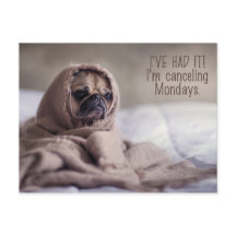 Cartão postal de cachorro Pug engraçado