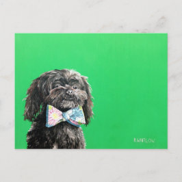 Cartão postal de cachorro Shih Tzu Yorkie - Chip