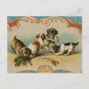 Cartão postal de cachorros antigos