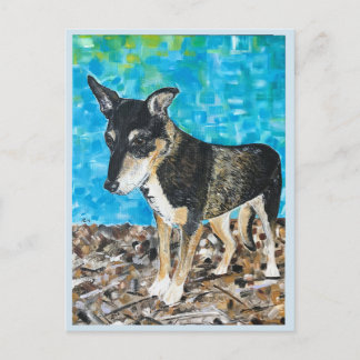 Cartão postal de cão Kelpie