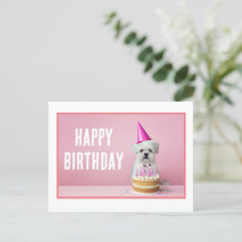 Cartão postal de cão maltês com chapéu de festa