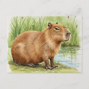 Cartão Postal de Capivara Fofa