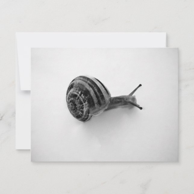 Cartão Postal de Caracol (Frente)