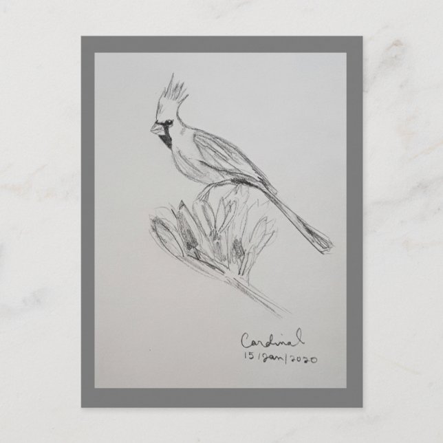 Cartão Postal de Cardinal (Frente)