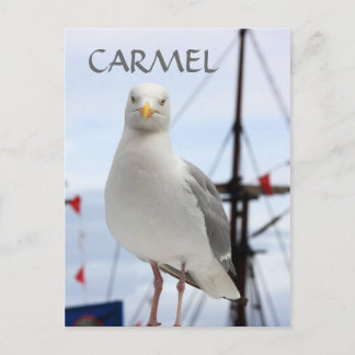 Cartão postal de Carmel, gaivota e barco