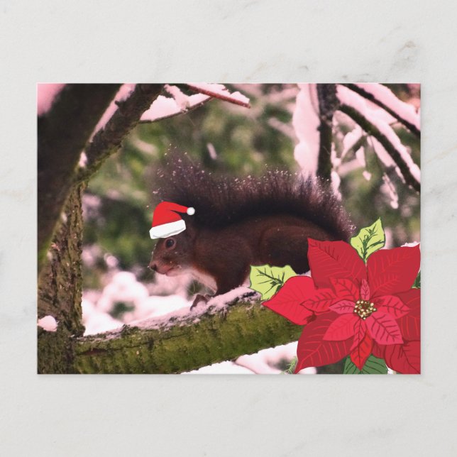 Cartão-postal de Cartões de natal (Frente)