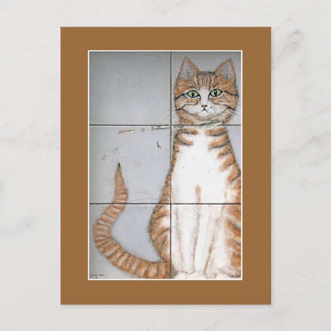 Cartão postal de Cat de Amsterdã (Frente)