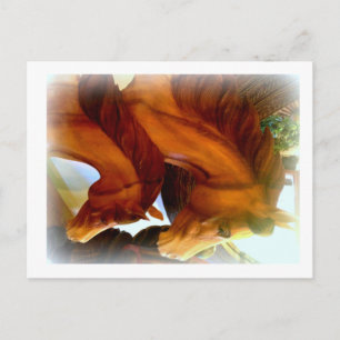 cartão postal de cavalo e pônei