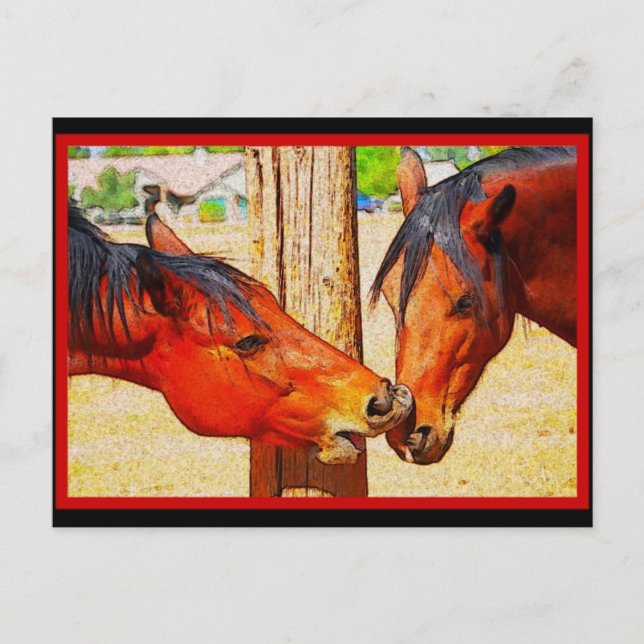 Cartão Postal de Cavalo - O Beijo da Tarde (Frente)