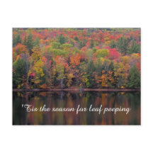 Cartão postal de Cena de Cores de Cores de outono