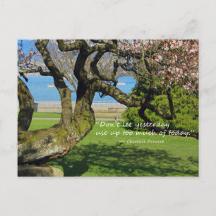 Cartão postal de Cherry Tree Cherokee Proverb