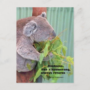 Cartão postal de citação de Koala Kindness