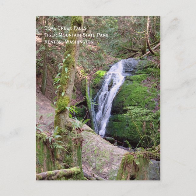 Cartão Postal de Coal Creek Falls (Frente)