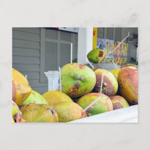 Cartão postal de Coconut Water Key West FL Coconuu