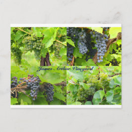 Cartão postal de Colagem JAV 2013 9