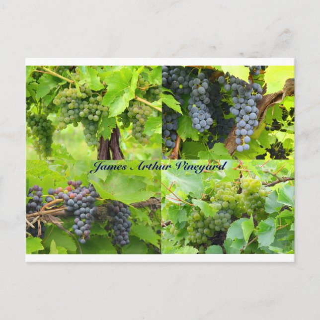 Cartão postal de Colagem JAV 2013 9 (Frente)