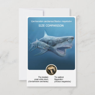 Cartão postal de comparação de tamanho (Megalodon+