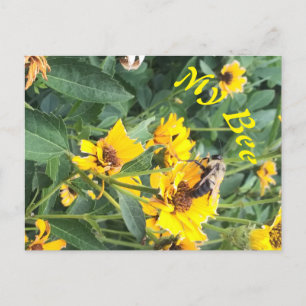 Cartão Postal De Convite Abóbora Polinizando Flor Amarelo