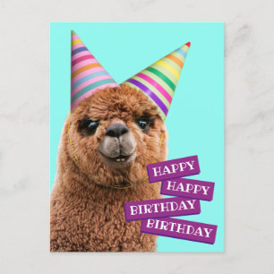Cartão Postal De Convite Alpaca Usando Chapéus de Festa