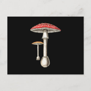 Cartão Postal De Convite Amanita Muscaria Mushroom Botânica Fungi