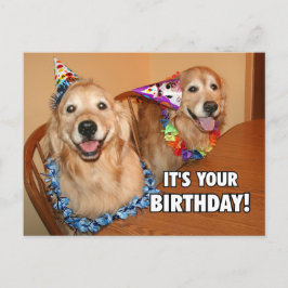 Cartão Postal De Convite Aniversário do Partido do Vamos de Retriever do ou
