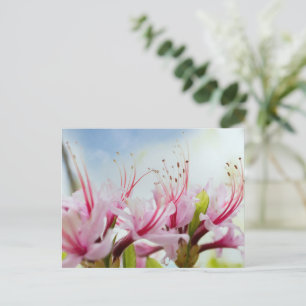 Cartão Postal De Convite Azalea selvagem
