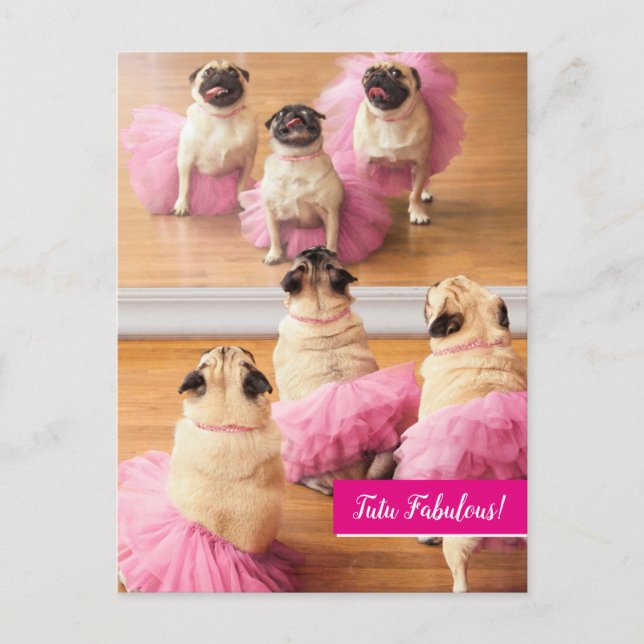 Cartão Postal De Convite Ballerina Pugs Em Tutus (Frente)