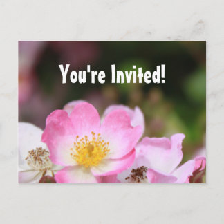 Cartão Postal De Convite belos flores de rosa rosa selvagem festa de format