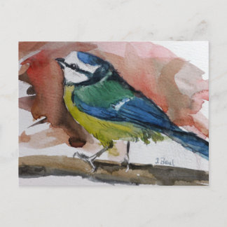 Cartão Postal De Convite Blaumeise