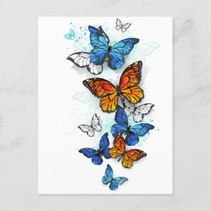 Cartão Postal De Convite Borboletas voadoras Morpho e Monarca