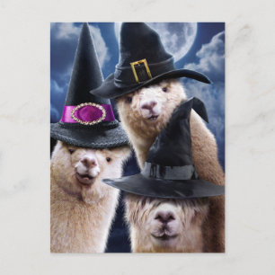 Cartão Postal De Convite Bruxas Alpaca