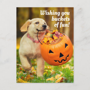 Cartão Postal De Convite Cachorro com Balde de Abóbora