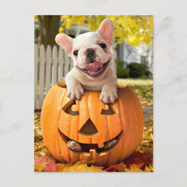 Cartão Postal De Convite Cachorro em Jack-o-Lanterna (Frente)