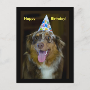 Cartão Postal De Convite Cachorro Festa de aniversário australiano