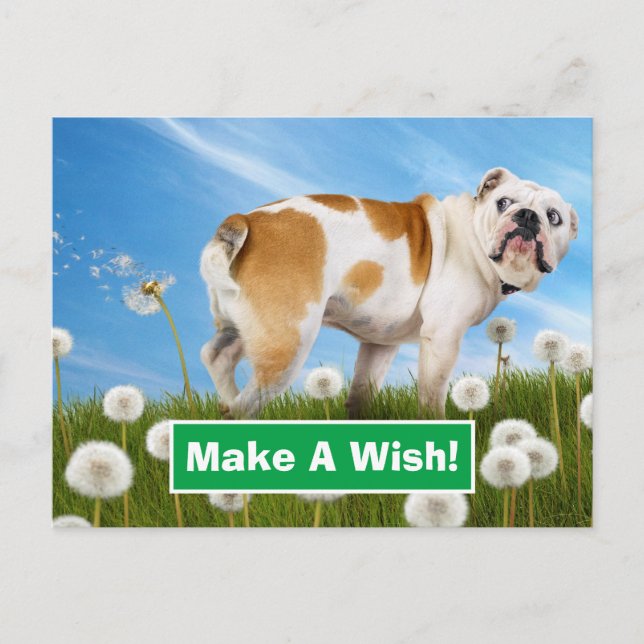 Cartão Postal De Convite Cães com Dandelion (Frente)